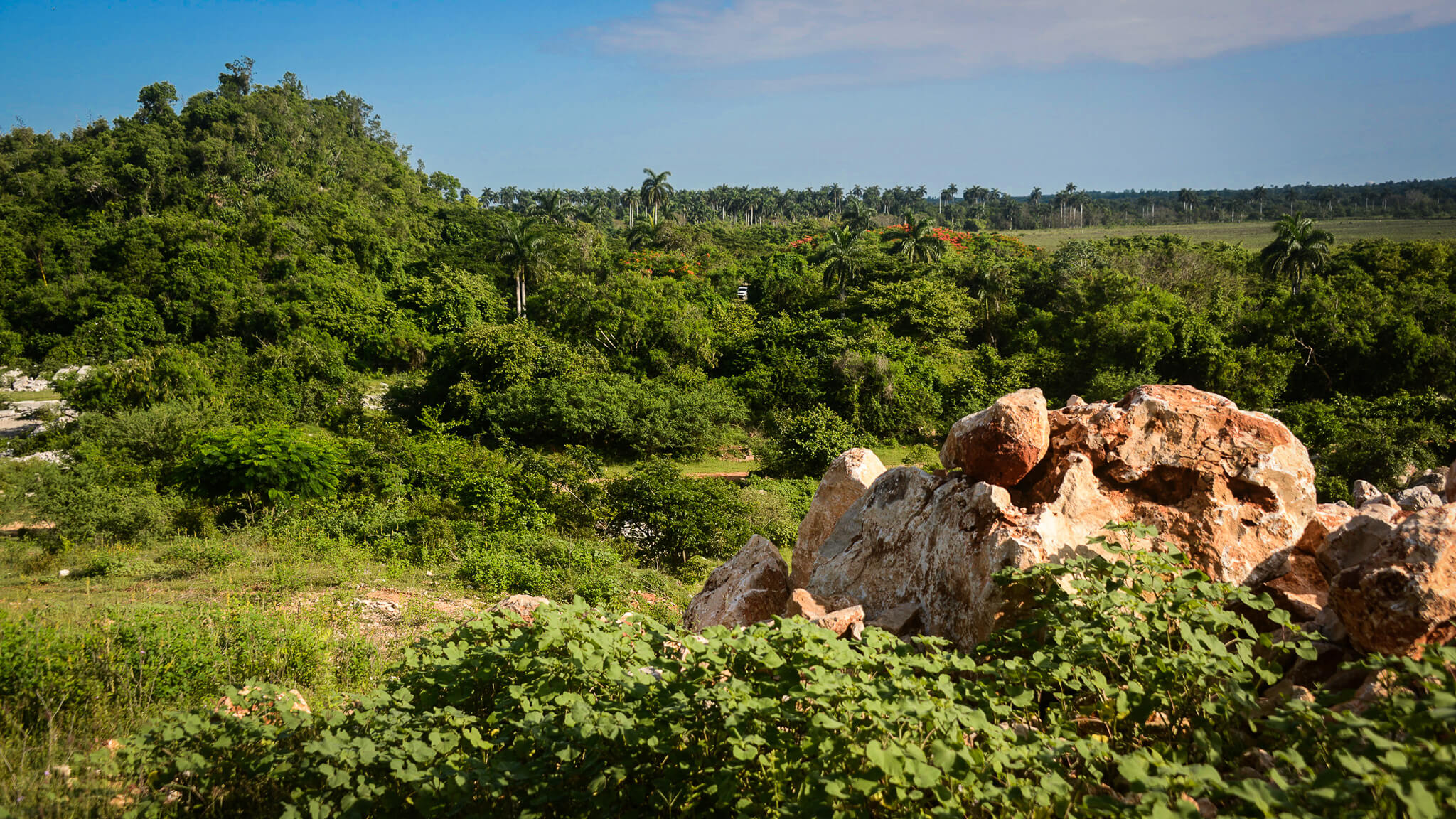 Camino-Del-Cimarron-Feature-Image