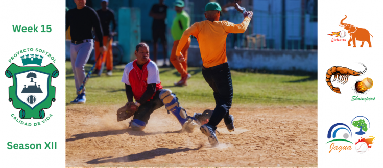 Softbol Veteranos Season 12 Week 15 Main Image